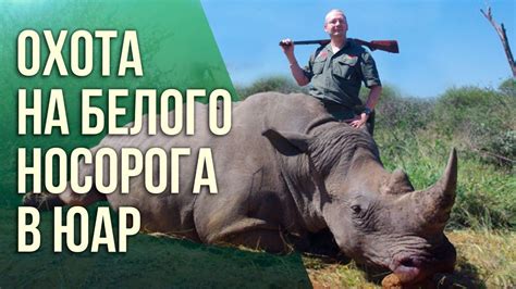 Охота на носорога
 2024.04.27 12:08